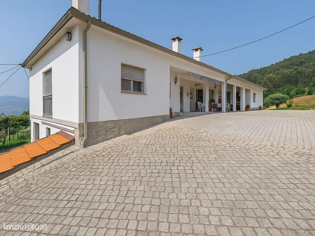 Quinta com 20.000 m² para Venda - Penacova-8