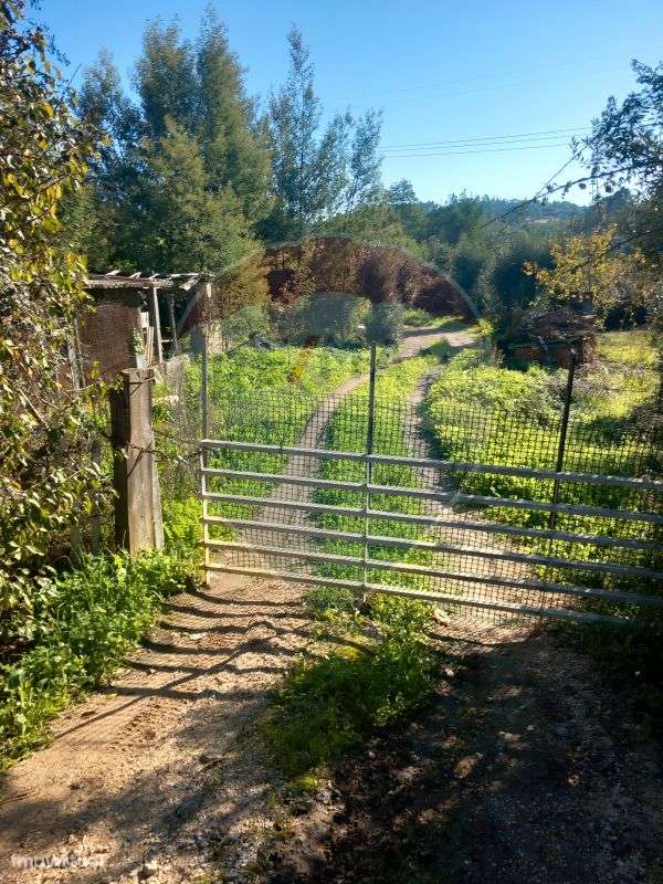 Terreno  para venda - Grande imagem: 4/5