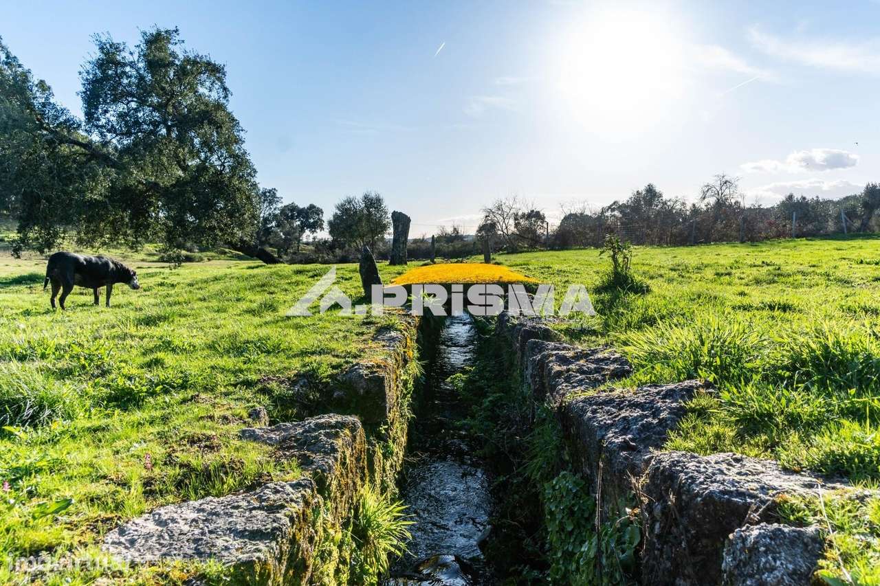 Quinta para venda em Escalos de Cima-40