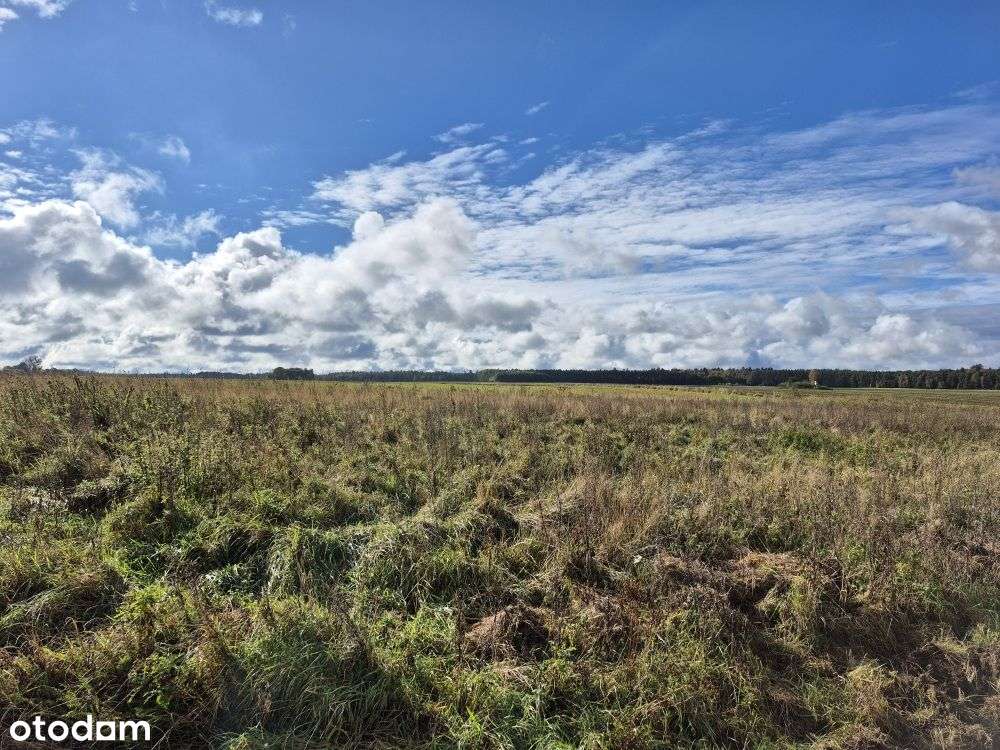 Działki Budowlane Przy Lesie Państwowym-3