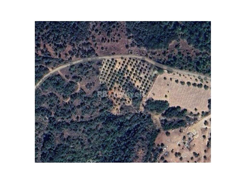 Terreno rústico em Rendufas, Torres Novas - Grande imagem: 2/2