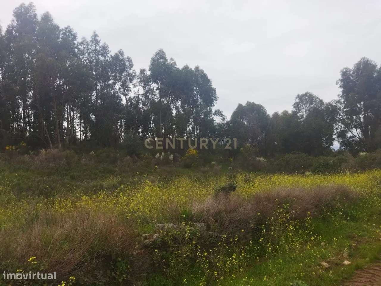 Terreno Rústico | Lousa CTB, Castelo Branco - Grande imagem: 2/10