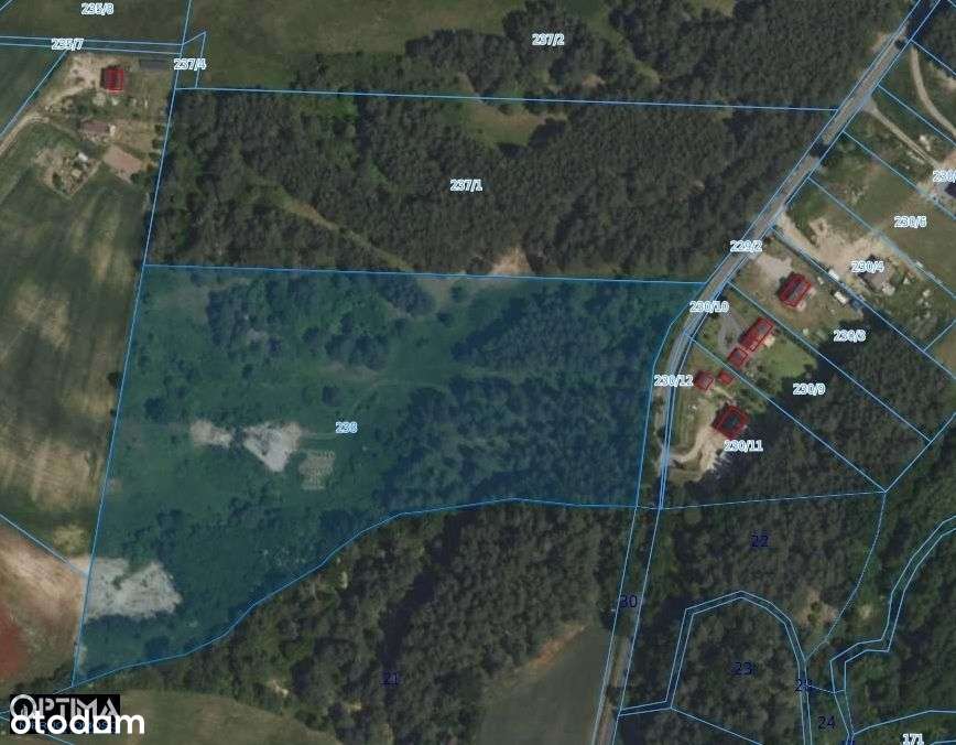 Świetnie położenie ! Piękna okolica- Las, blisko M-1