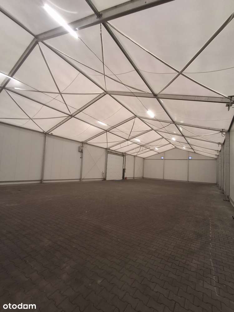 Hala magazynowa - Pełny obrazek: 5/6