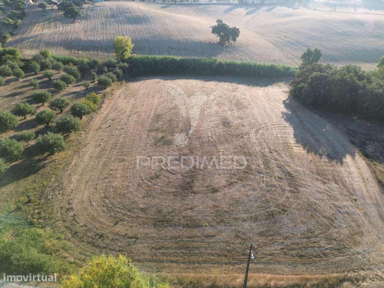 Terreno Rústico em Nabais – Santarém | 10.800 m² - Grande imagem: 5/16