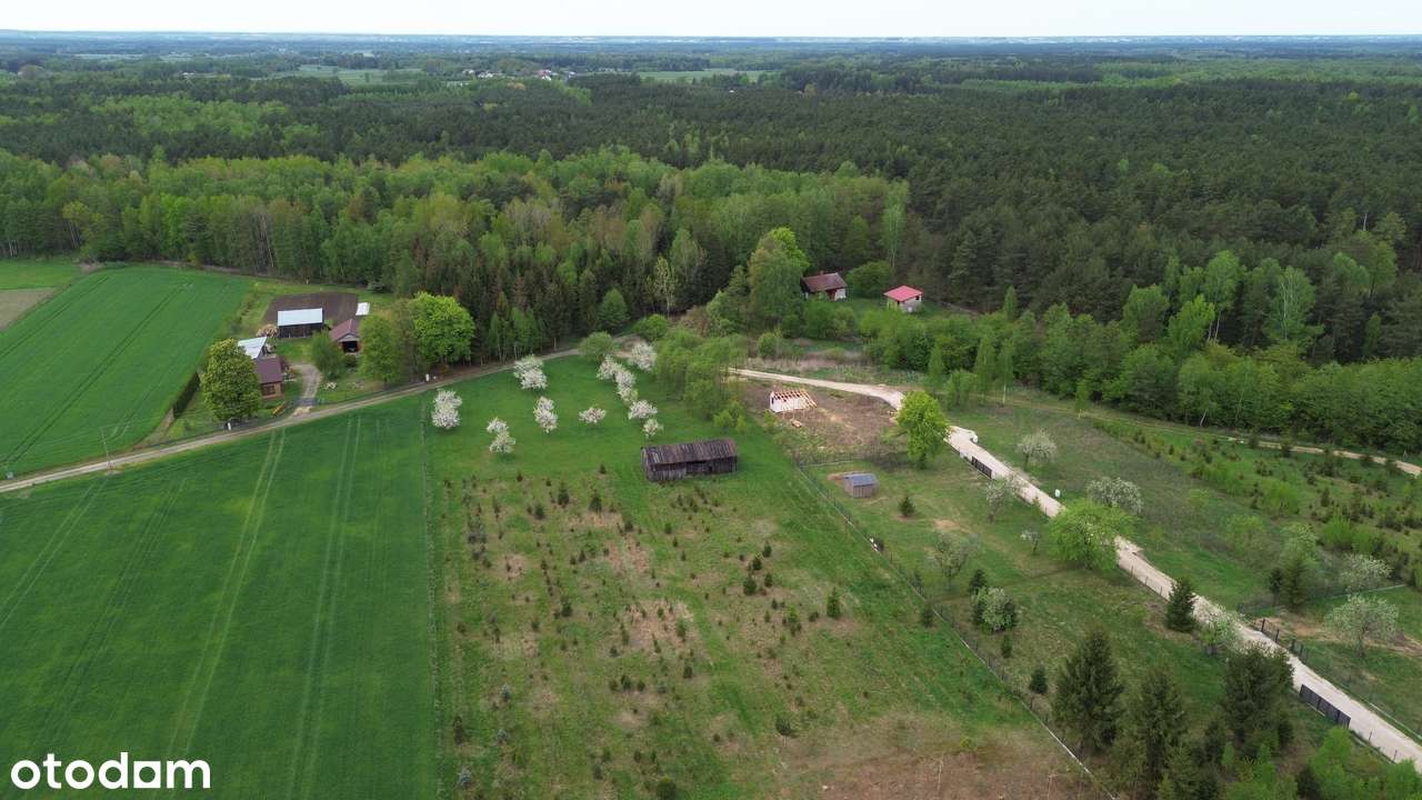 Działka z WZ w zielonej okolicy Puszczy Stromieckiej-6