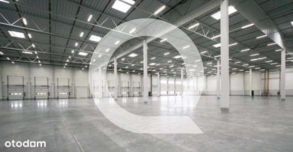 Nowoczesny Park Logistyczny W Strykowie! - Pełny obrazek: 2/2