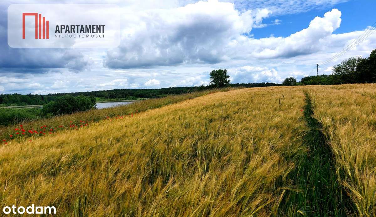 Wybuduj dom -  Krajeński Park Krajobrazowy! - Pełny obrazek: 5/16