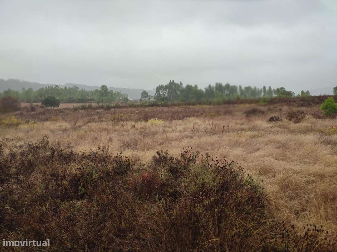 Terreno Rústico com 14.000m2, Chã da Vâ, Castelo Branco - Grande imagem: 5/11