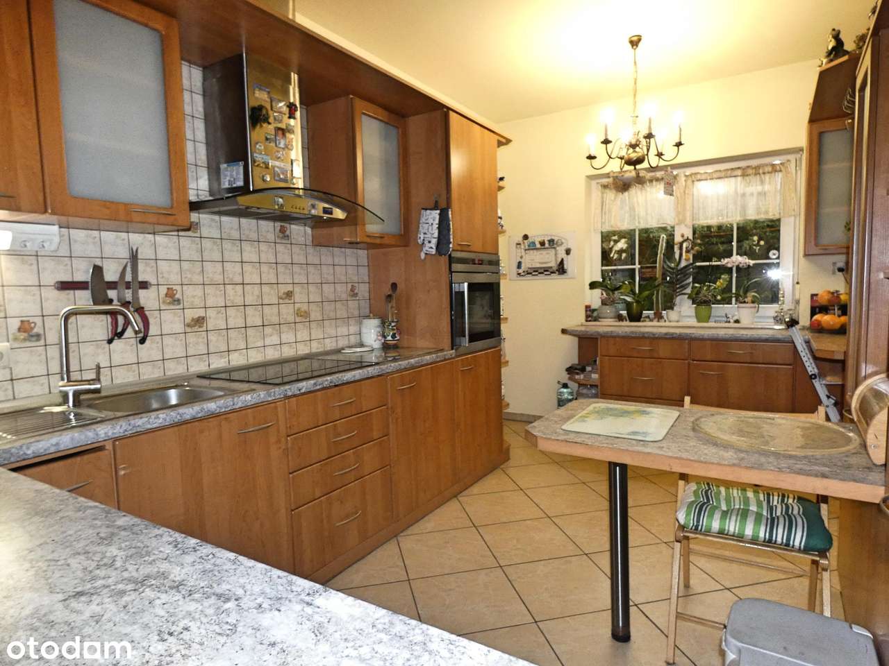 dochodowy dom 900m od morza - Pełny obrazek: 3/16