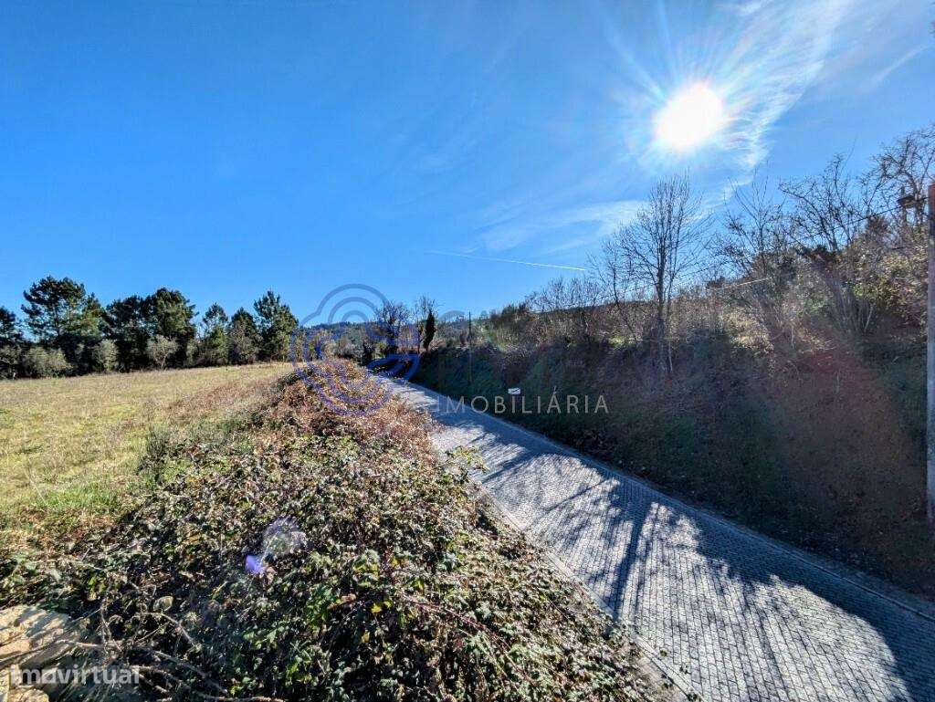 TERRENO URBANIZÁVEL PLANO EM TRAGOS, MANGUALDE - Grande imagem: 4/19
