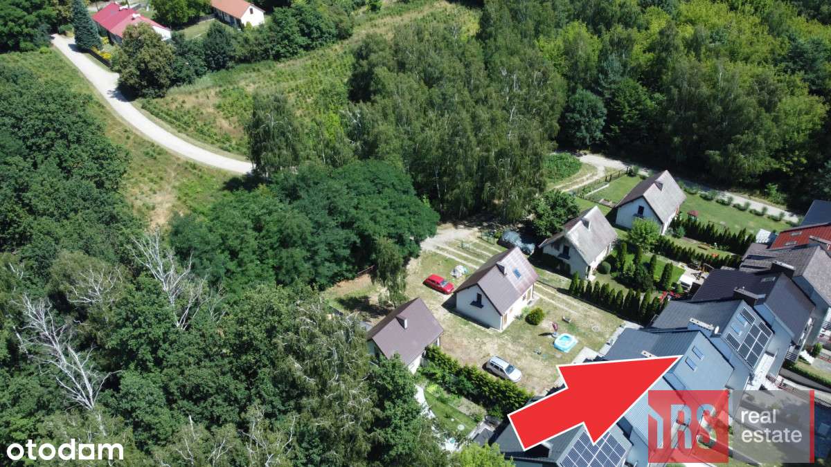 Segment w ścianie lasu tuż przy granicy m. Turku! - Pełny obrazek: 4/5