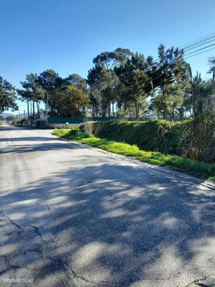 Azeitão Terreno com 10500 M2 de gaveto.-7