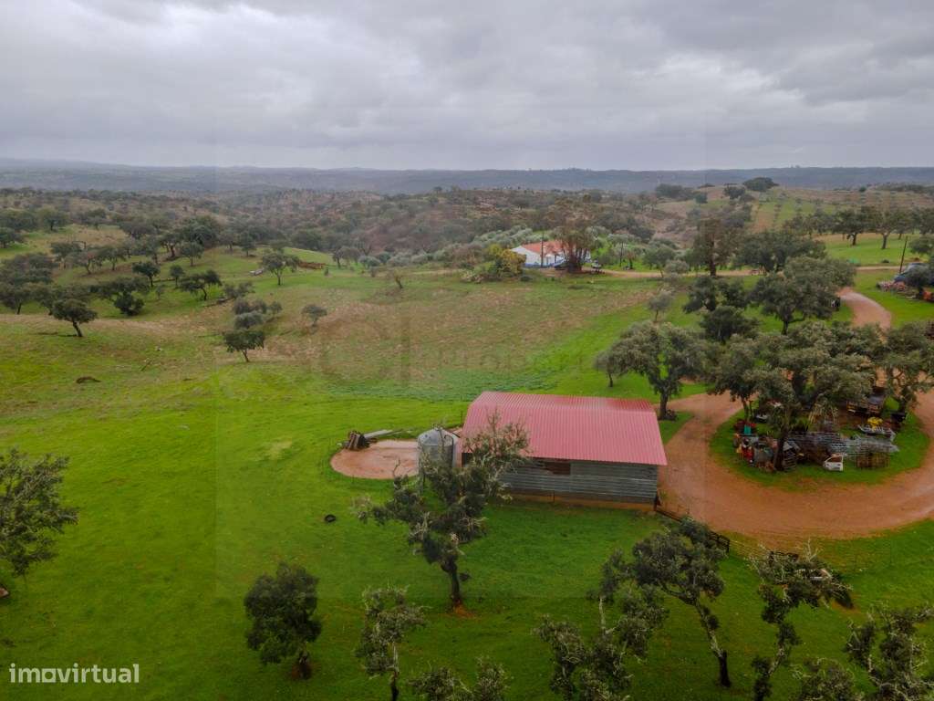 Fantástica quinta típica Alentejana em Vila Verde de Ficalho-10
