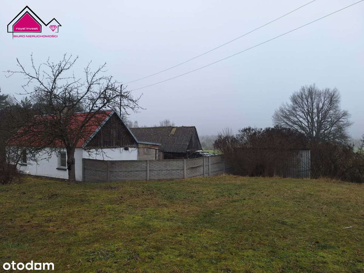 Działka z lasem - zabudowania w cenie gruntu-6