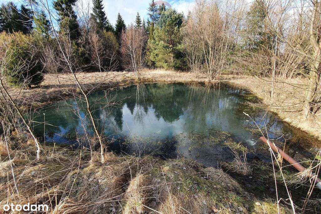 Działka budowlano usługowa – przy lesie. - Pełny obrazek: 5/18