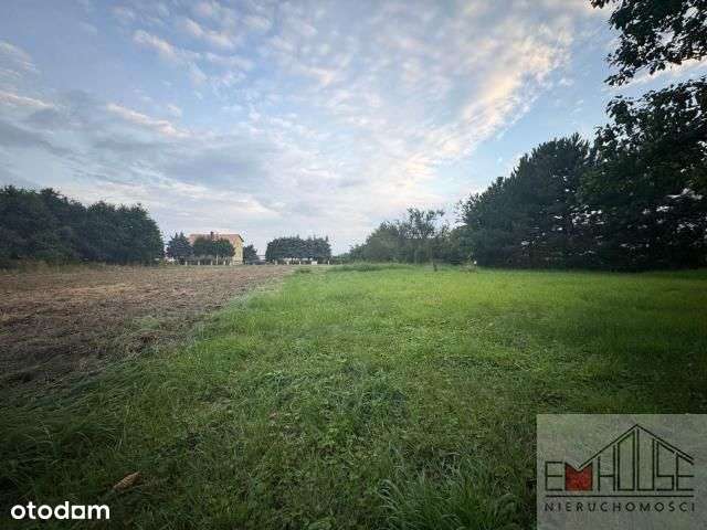 Kotowice-Działka-Las-blisko Wrocław/ Szewce-9