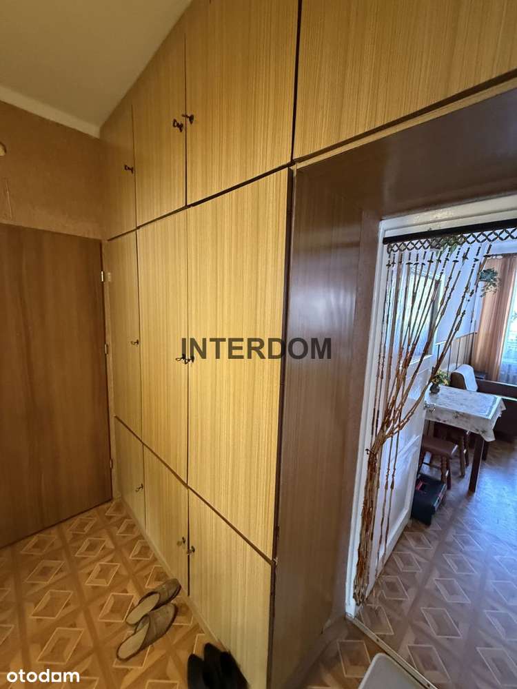 M3 Centrum. Tuż przy parku Hallera-10