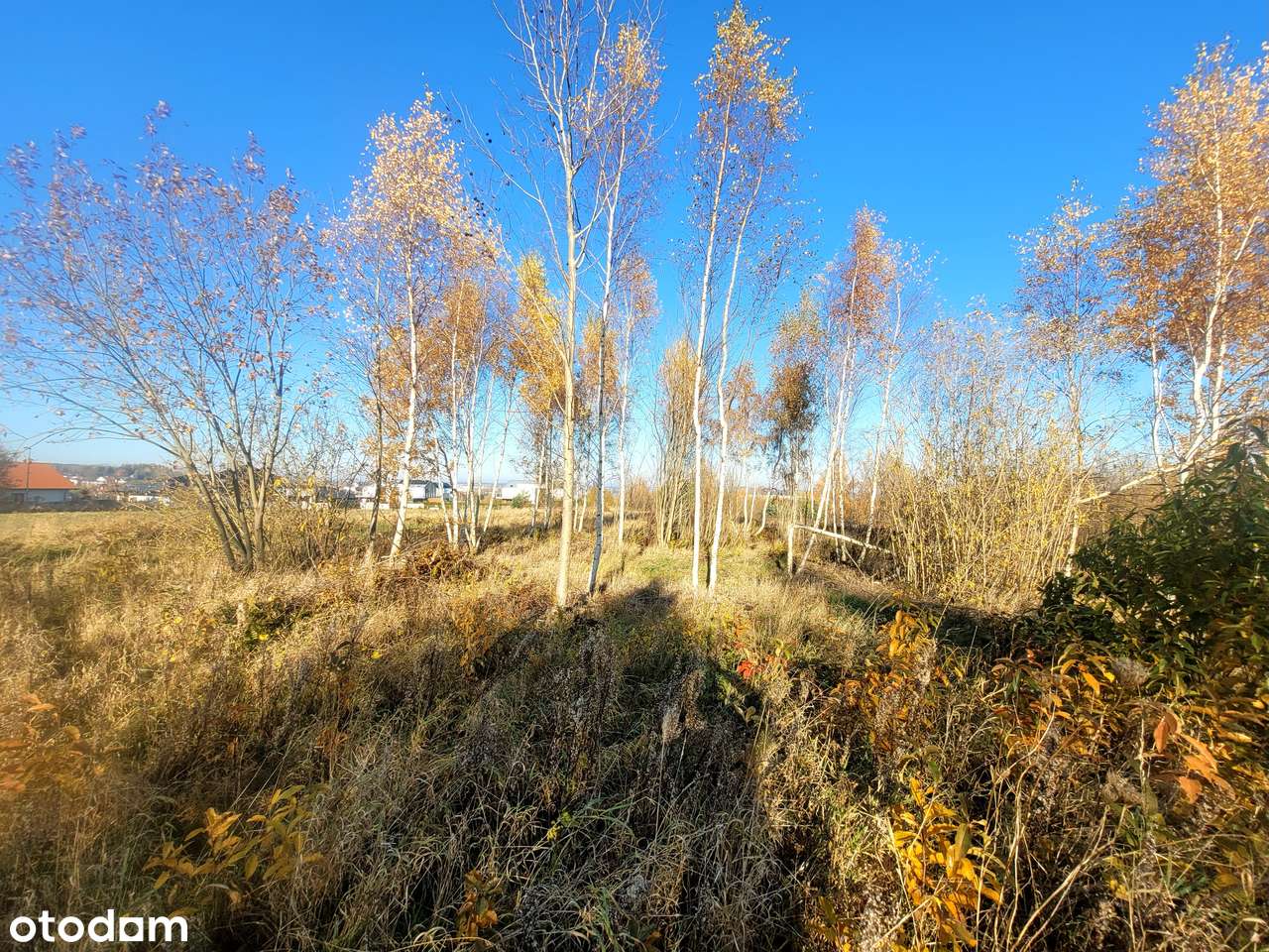 Działka z potencjałem, Gdańsk-Kiełpino Górne, natura, komunikacja!-4