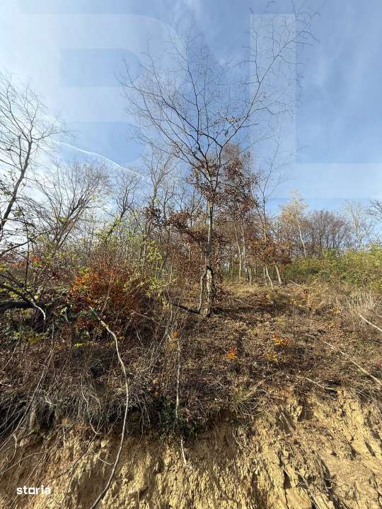Teren extravilan impadurit, 20424 mp ideal pentru investitie - Imagine principală: 3/5