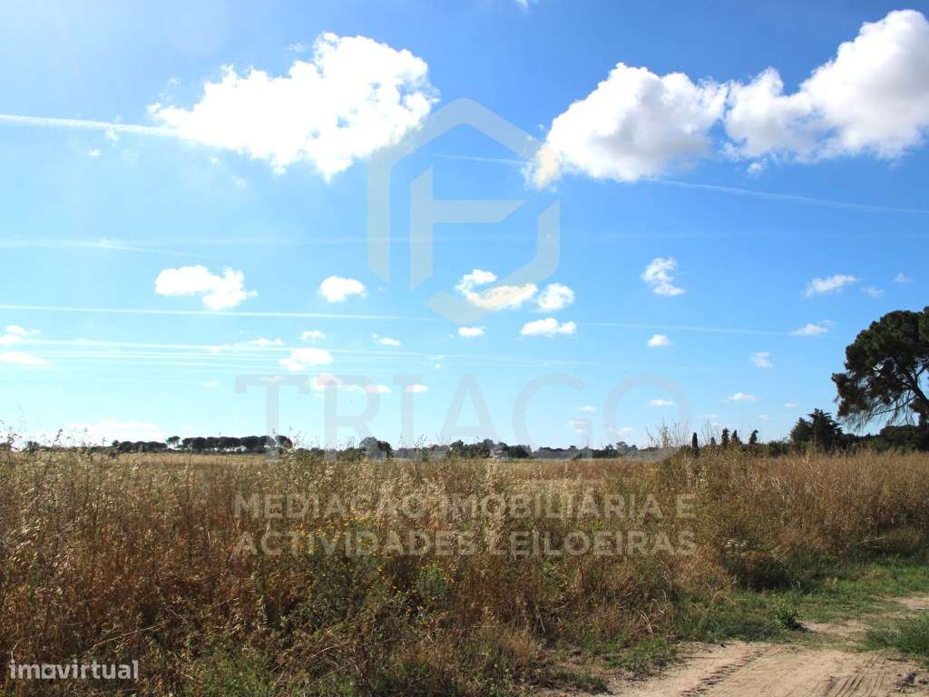 Terreno Rústico com 48.400 m2 - Grande imagem: 5/7