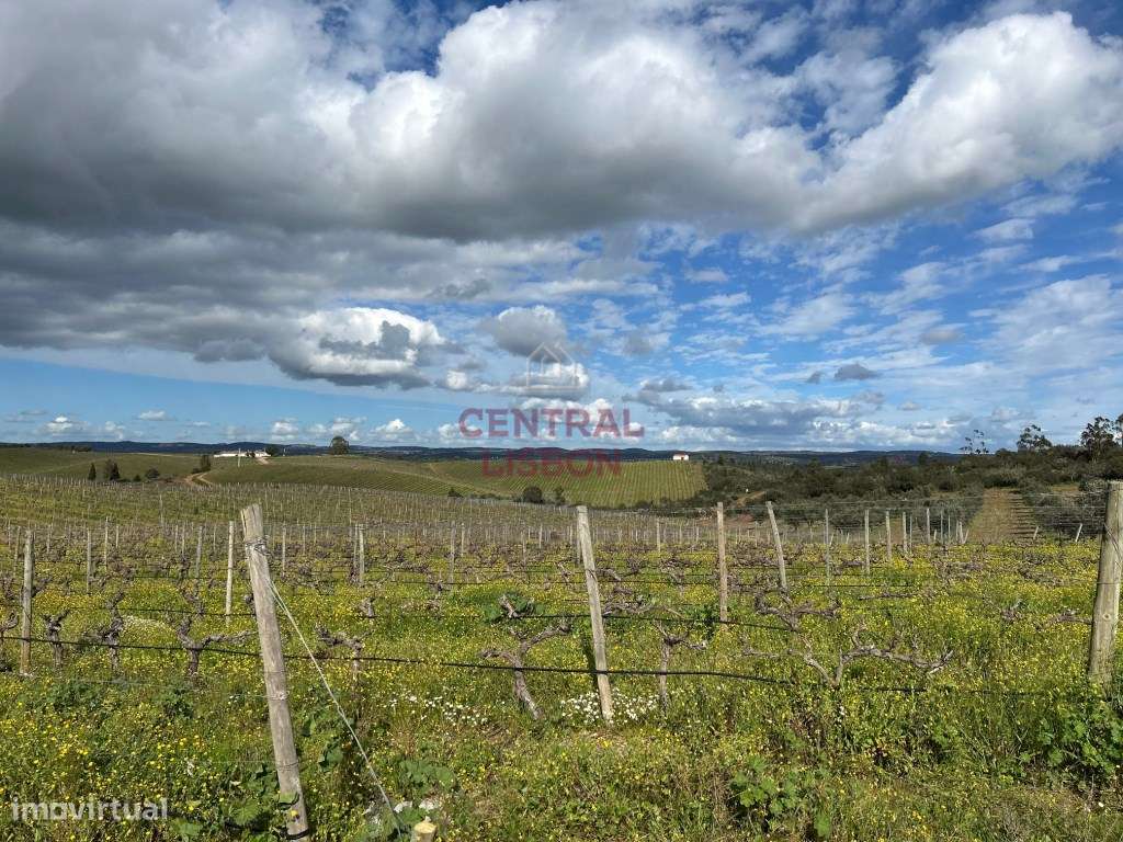 Quinta do Barranco, Alandroal - Grande imagem: 5/11