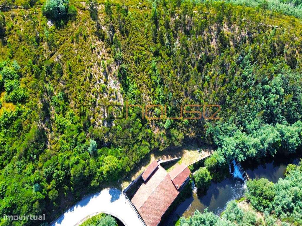 Antiga serração - Frente de Rio-9