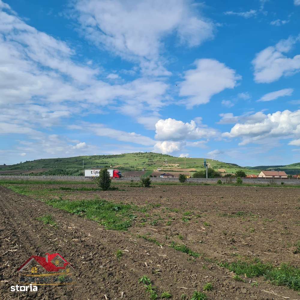 Imobiliare Maxim  teren extravilan Gușterița-2