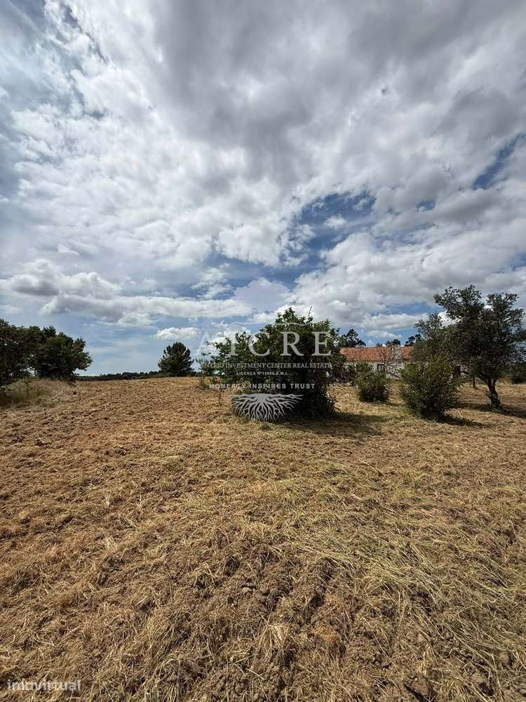 Monte Alentejano com Projeto de Turismo Rural Aprovado – Santiago do C-19
