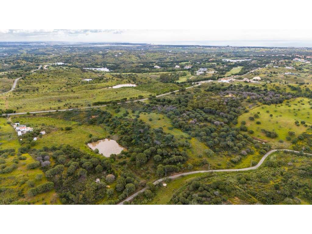 Terreno com PIP Aprovado para Moradia - Corte António Martins, Vila... - Grande imagem: 5/16