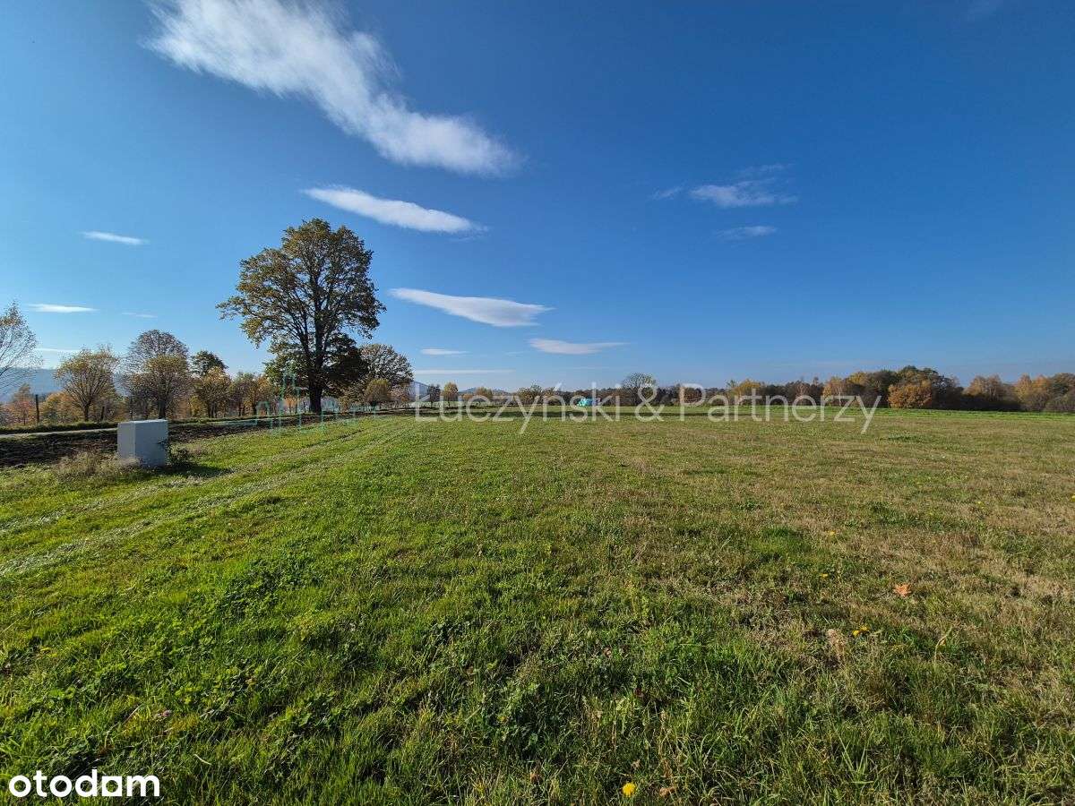 Świetna działka w Janowicach Wielkich!-4