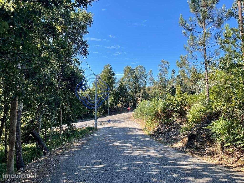 Terreno Rústico em Travanca Santa maria da Feira - Grande imagem: 4/15