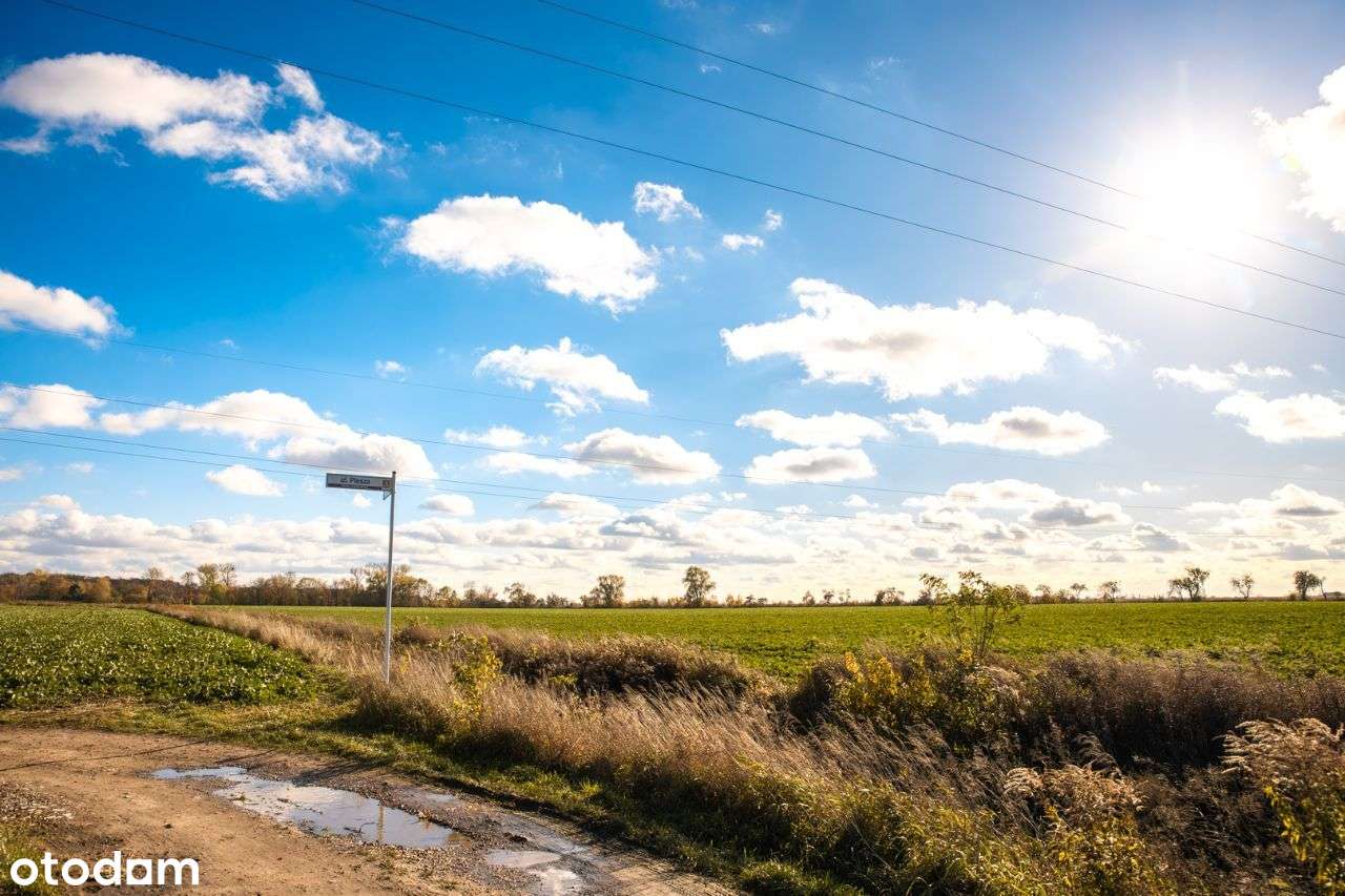 Zalasewo, ulica Spacerowa Nowy podział-12