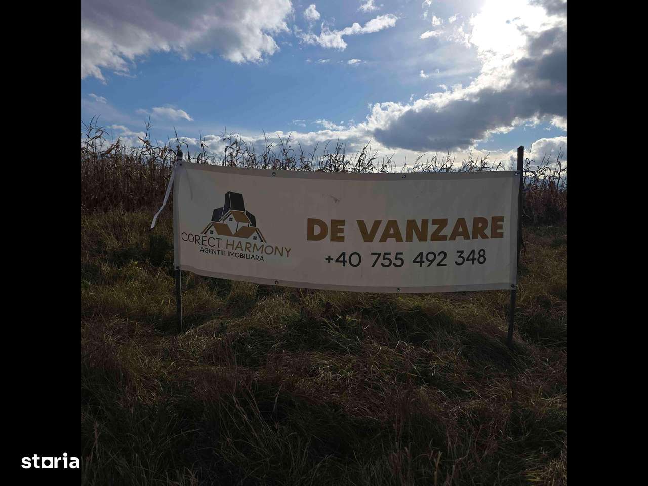 Teren 5 hectare de vanzare prejmer Brasov-8