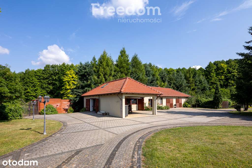 Rezydencja z linią brzegową jeziora Powidzkiego - Pełny obrazek: 5/20