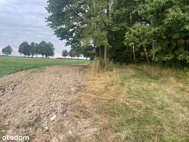 DZIAŁKI ROLNE, WYRY, DO NEGOCJACJI-3