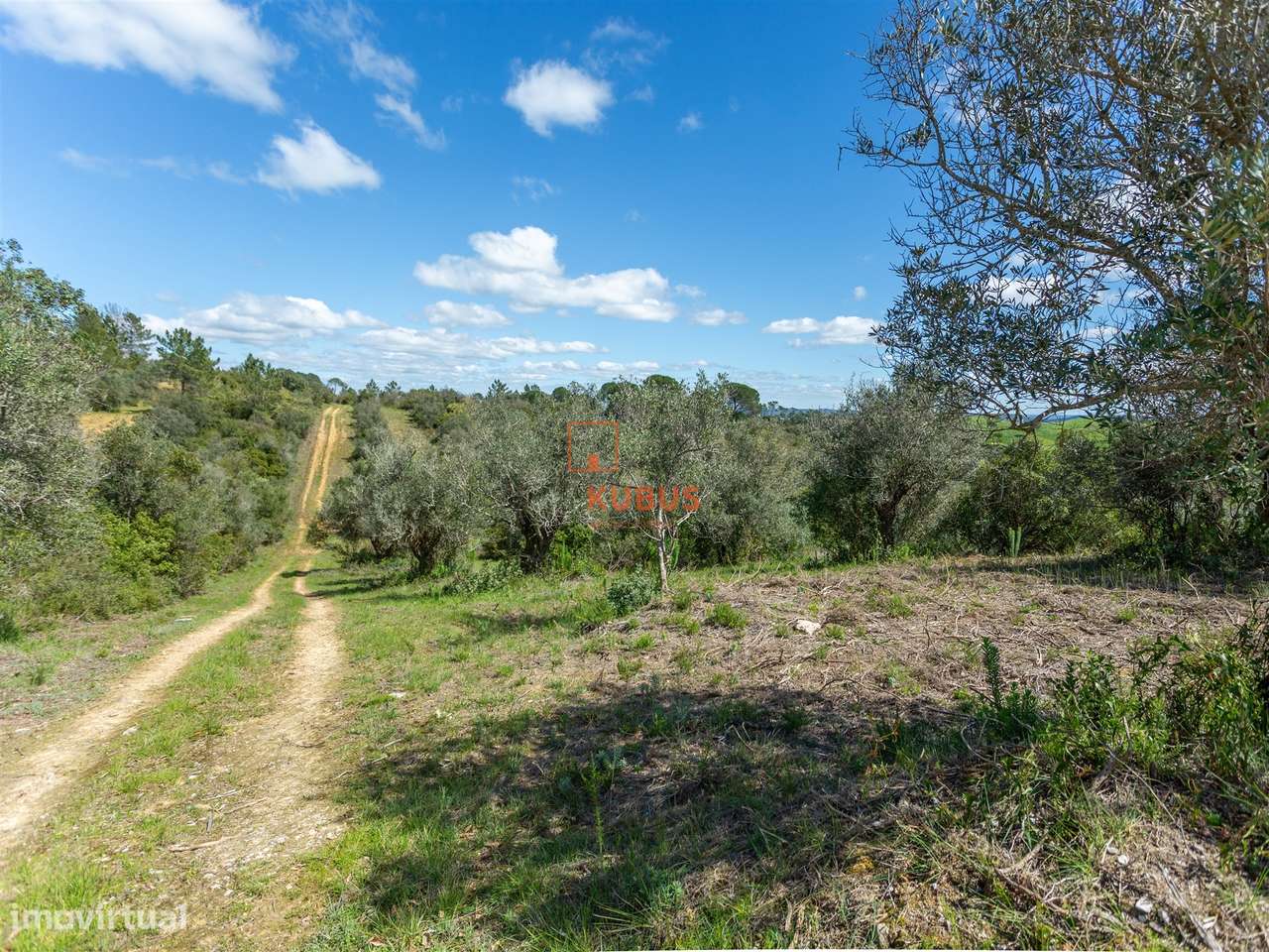Terreno Rústico  Venda em Olaia e Paço,Torres Novas - Grande imagem: 3/11