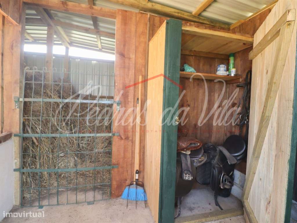 Quinta com 6,5ha em Vale Juncal - São Teotónio-57