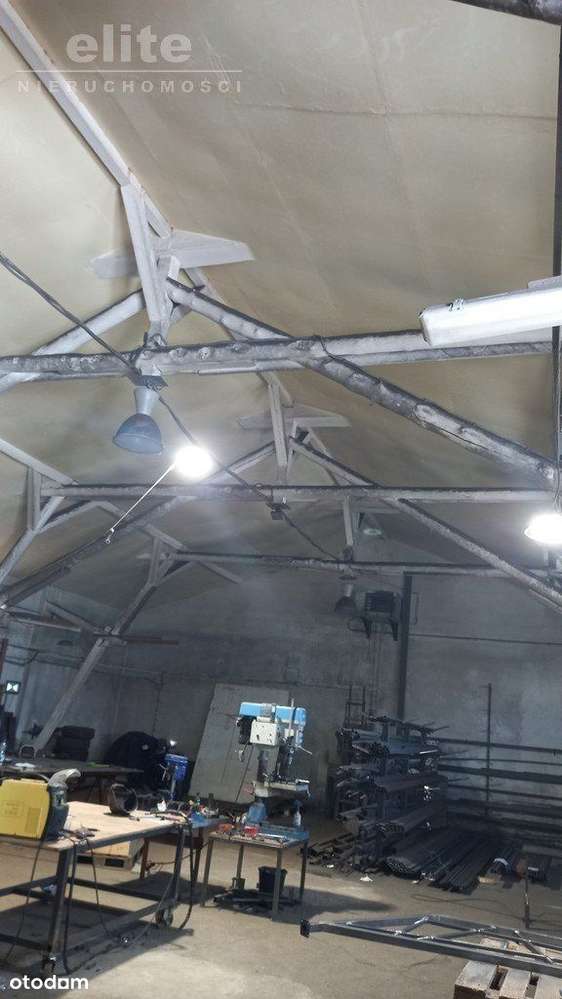 Lokal użytkowy, 495 m², Przecław - Pełny obrazek: 5/7