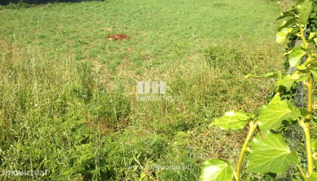 Terreno para venda, Vilarelho, Caminha - Grande imagem: 4/4