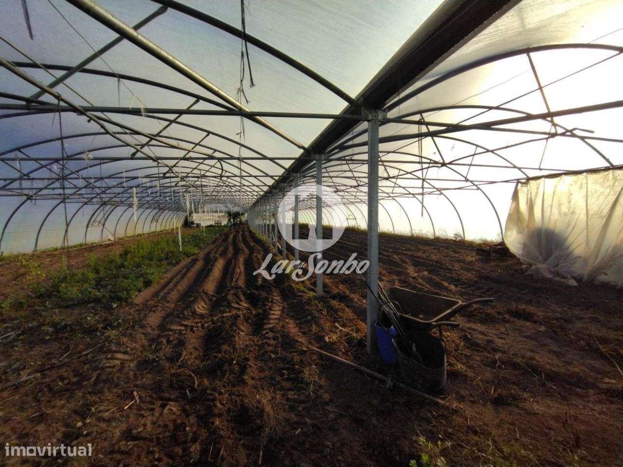 Terreno agrícola em Navais com 1.900m2, na Póvoa de Varzim - Grande imagem: 2/5