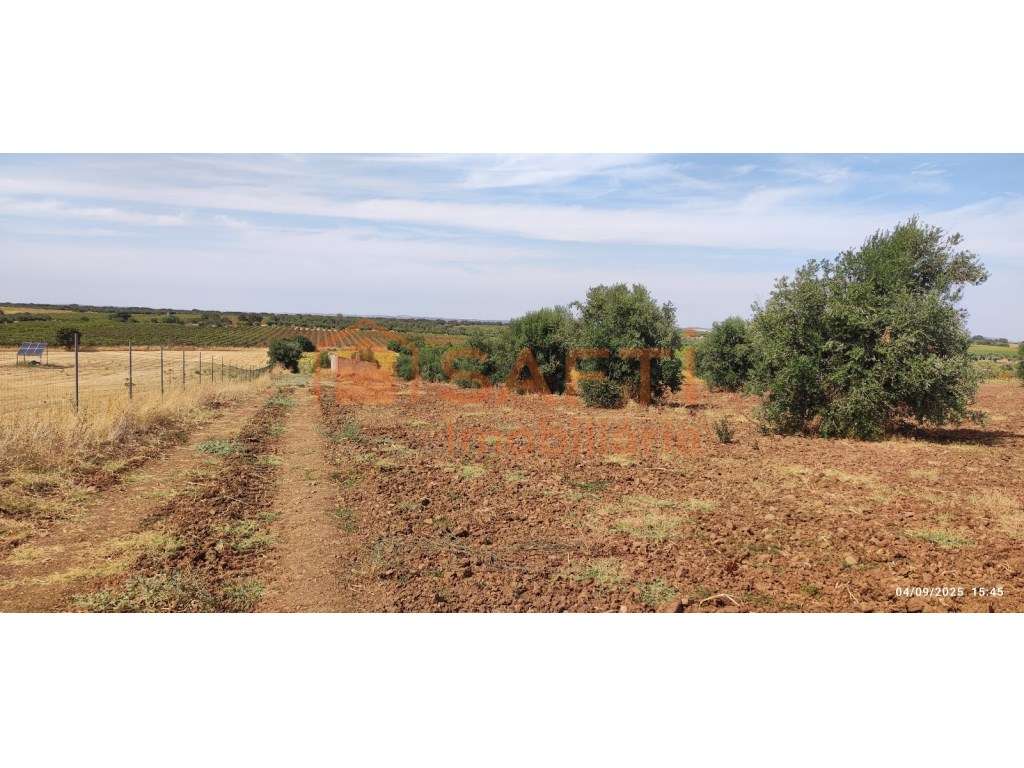 Terreno em Reguengos de Monsaraz -2,60ha - Grande imagem: 5/13
