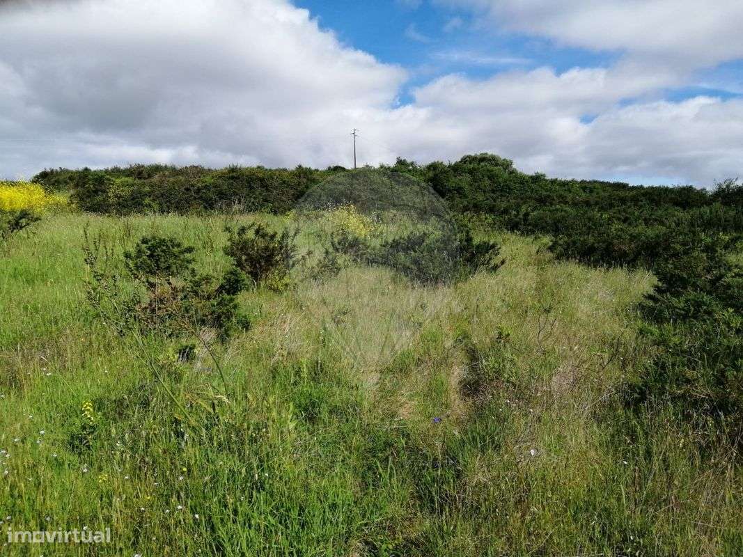 Terreno  2080 M2 - Grande imagem: 4/4