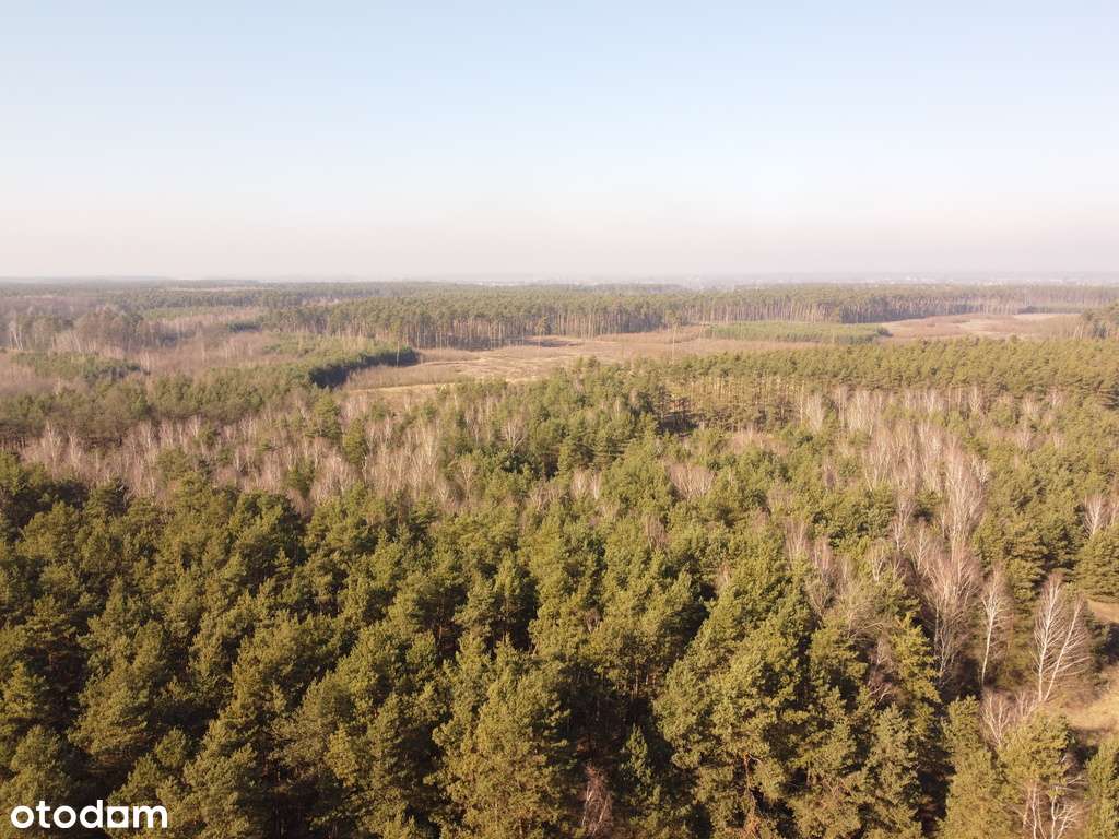 Zamieszkaj w rytmie natury – działka marzeń-10