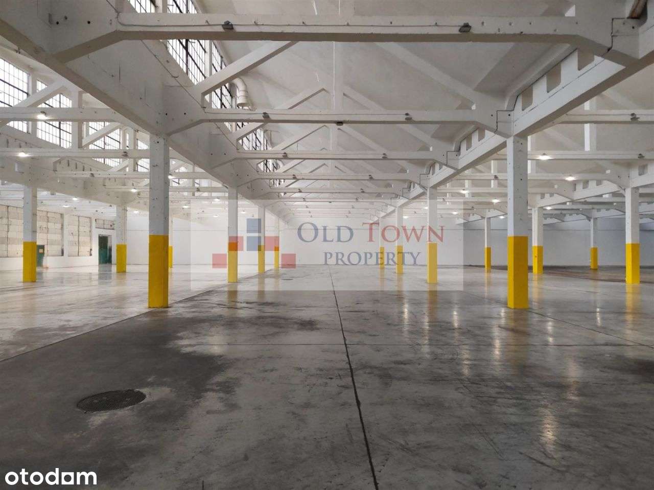 Hala 3850 m2 Lublin Zadębie - Pełny obrazek: 5/6