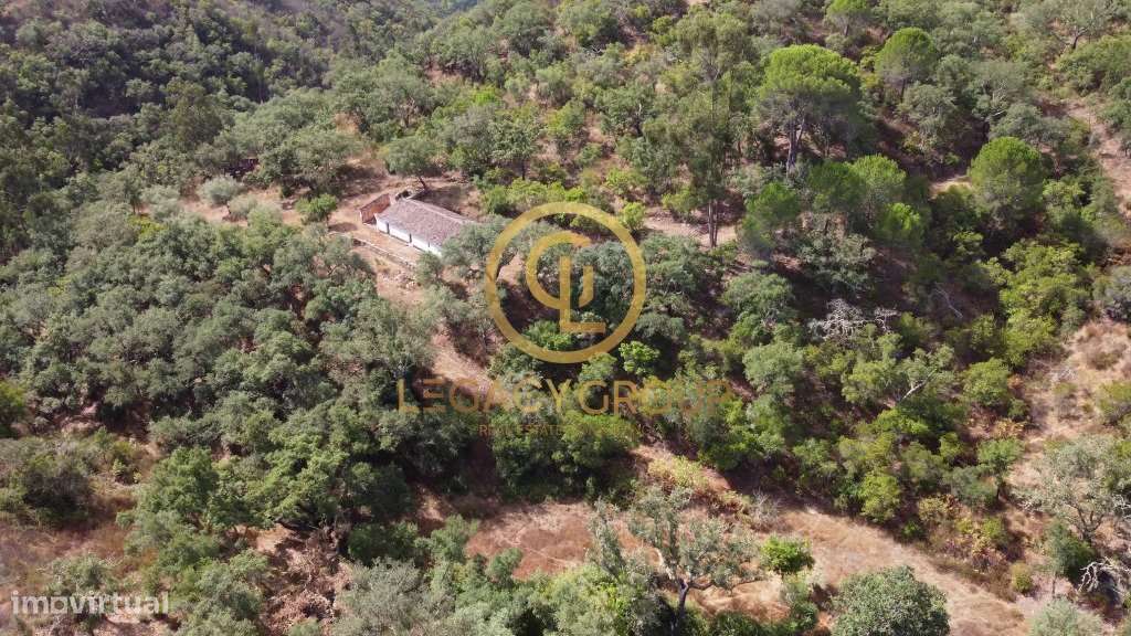 Quinta de 6 hectares perto de São Martinho das Amoreiras-32