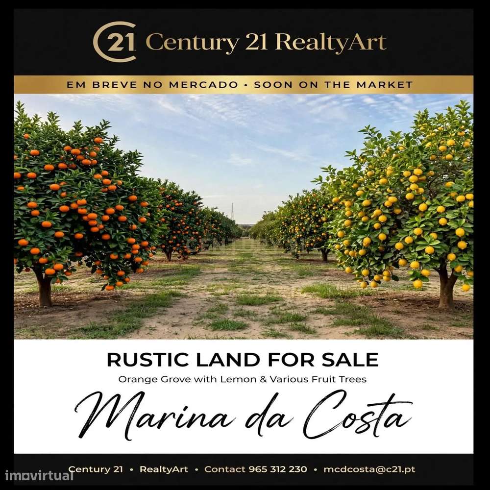 TERRENO RÚSTICO COM ÁRVORES DE FRUTA, ÁGUA E ELECTRICIDADE PADERNE-8