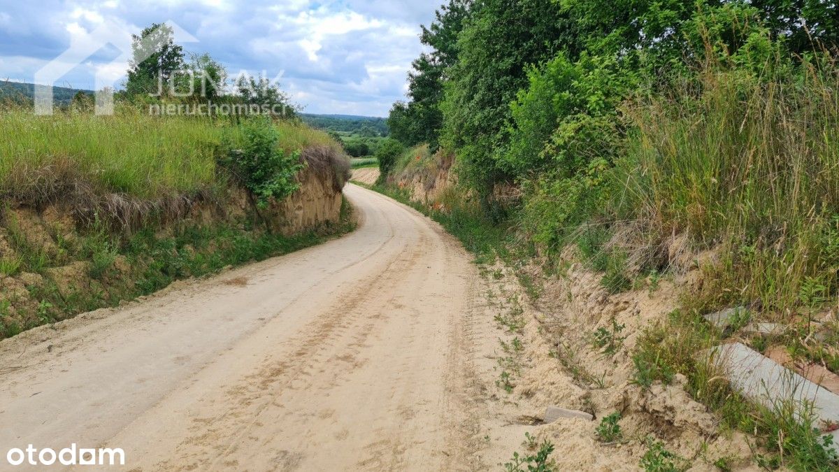 Działka Zabytów: Marzenia na 3988m² Czekają!