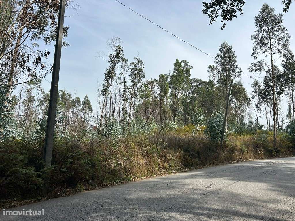 Terreno à Venda | 2.550 m² | Gougeba - Grande imagem: 3/4