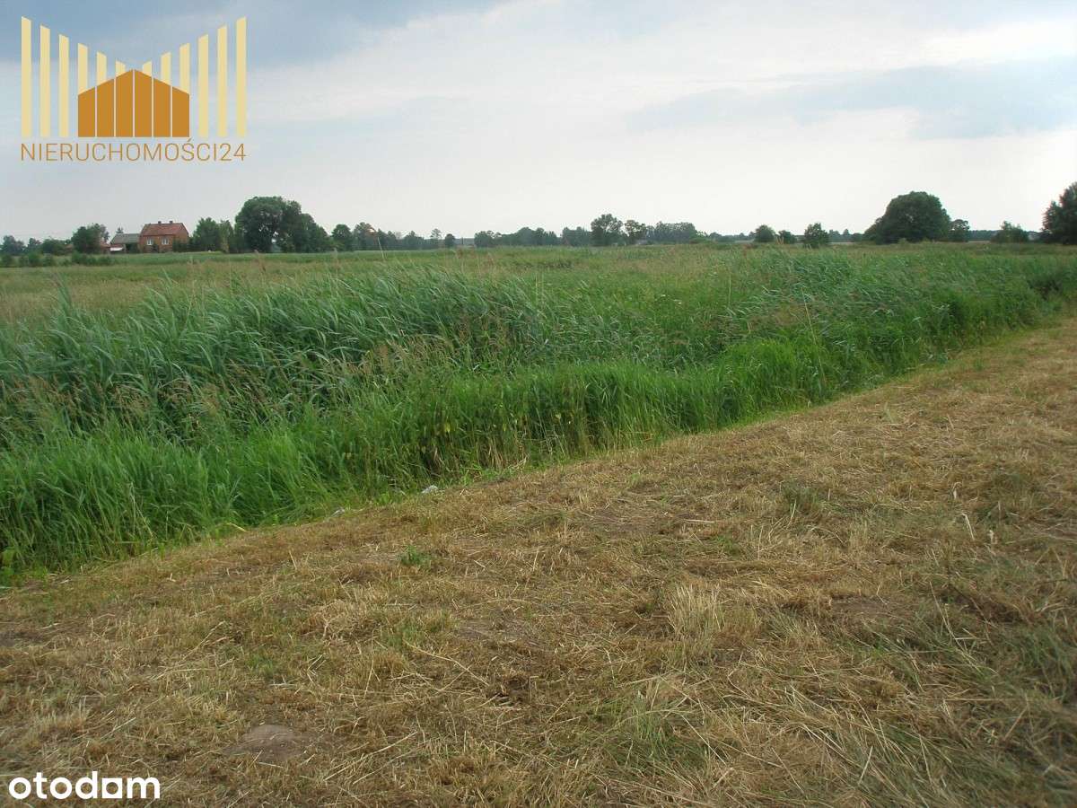 373097 - Pełny obrazek: 4/6